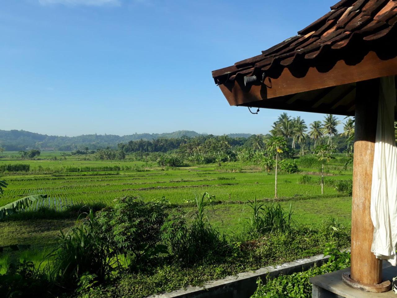 Villa Blue Steps Yogyakarta Exteriör bild